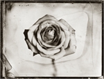 Collodion Wet Plate Ambrotype Tintype 026
